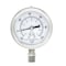 Pic Gauges 2 1/2 in Dial, 1/4 in NPT Male Lower Location, Stainless Steel Case Material PRO-301D-254CE-01 - alternate 1